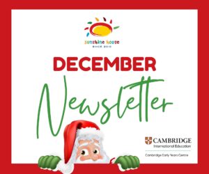 Newsletter December 2024;