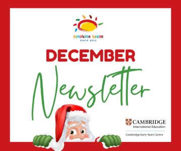 Newsletter December 2024