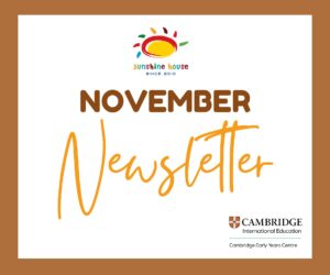 Newsletter November 2024;